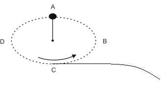 Vertical Stone Circle Motion